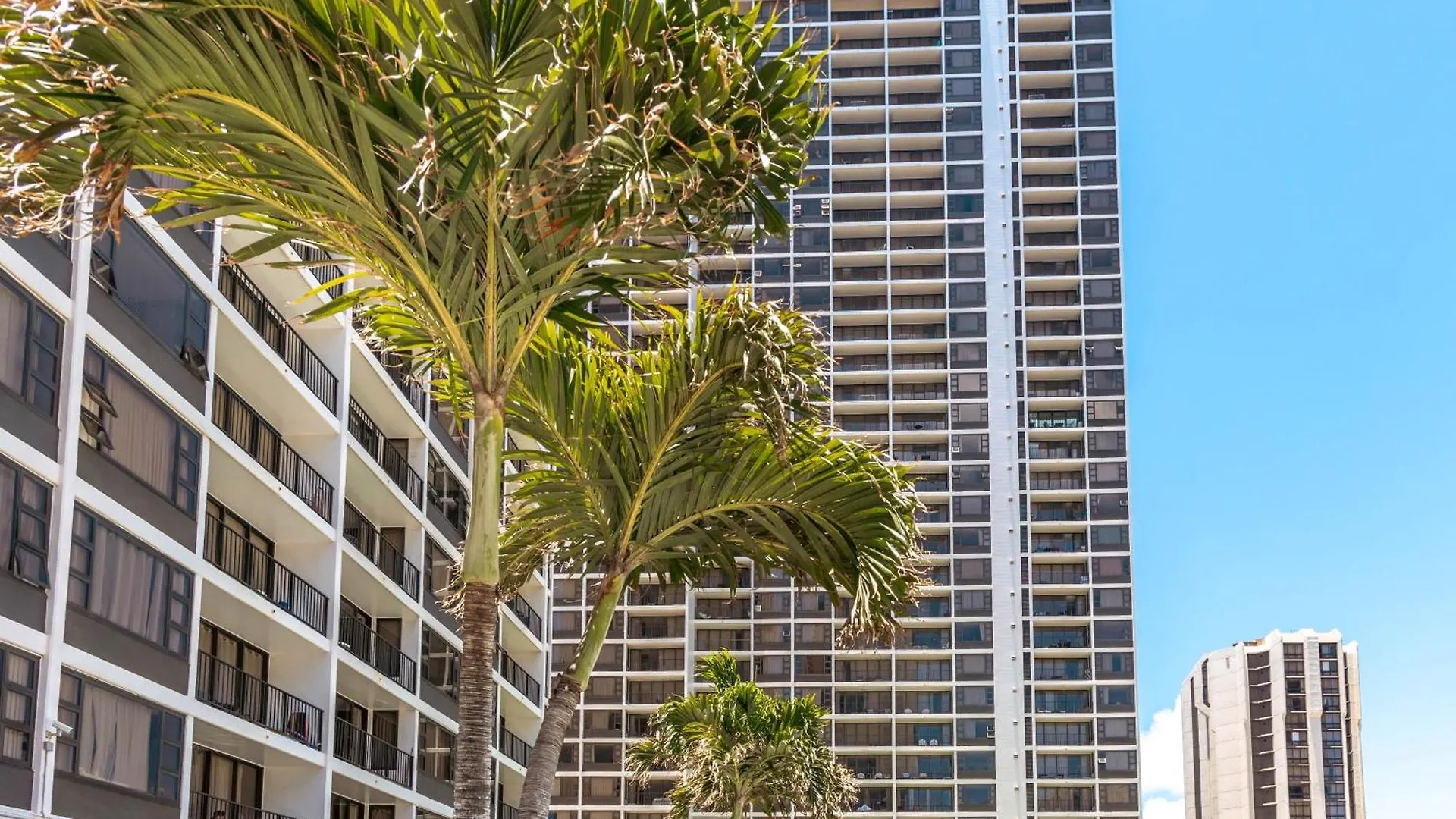 Diamond Head Views Retreat With Free Parking & Near Waikiki Beach! Honolulu Apartment