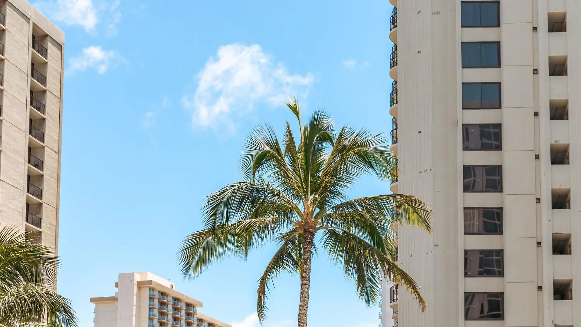 Diamond Head Views Retreat With Free Parking & Near Waikiki Beach! Honolulu 0*,